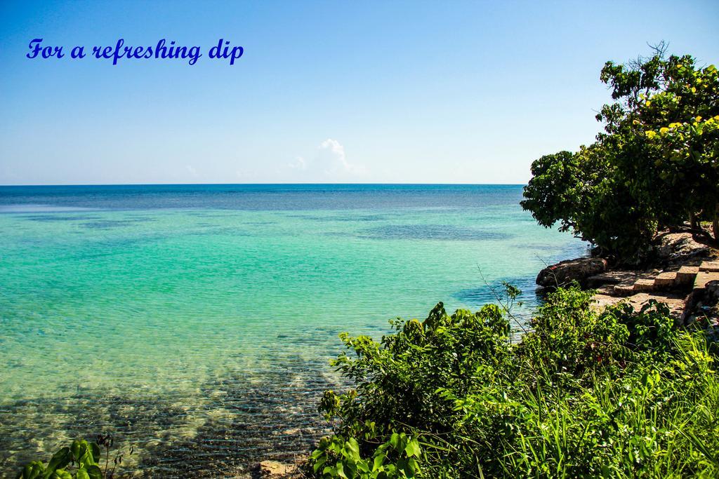 Sunshine Lodge: Your Home Away From Home Montego Bay Dış mekan fotoğraf