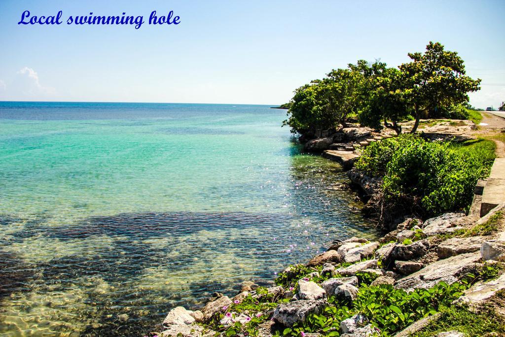 Sunshine Lodge: Your Home Away From Home Montego Bay Dış mekan fotoğraf
