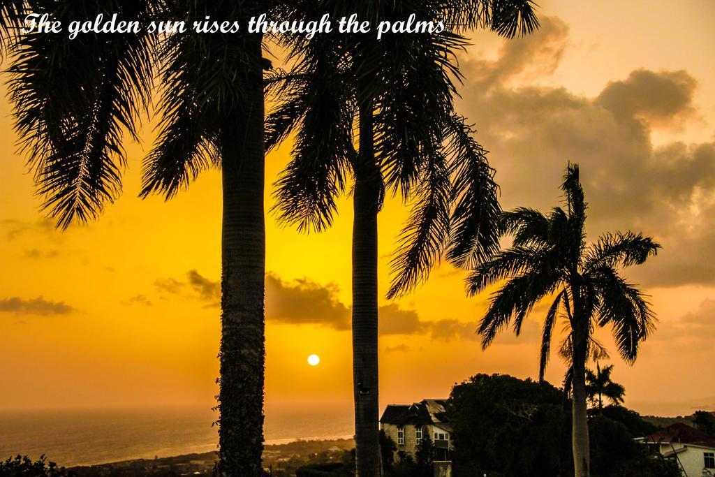Sunshine Lodge: Your Home Away From Home Montego Bay Dış mekan fotoğraf