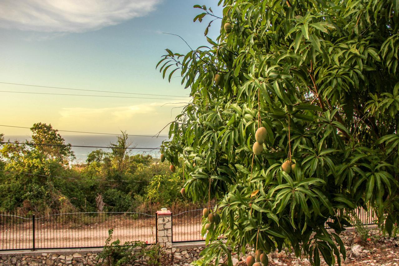 Sunshine Lodge: Your Home Away From Home Montego Bay Dış mekan fotoğraf