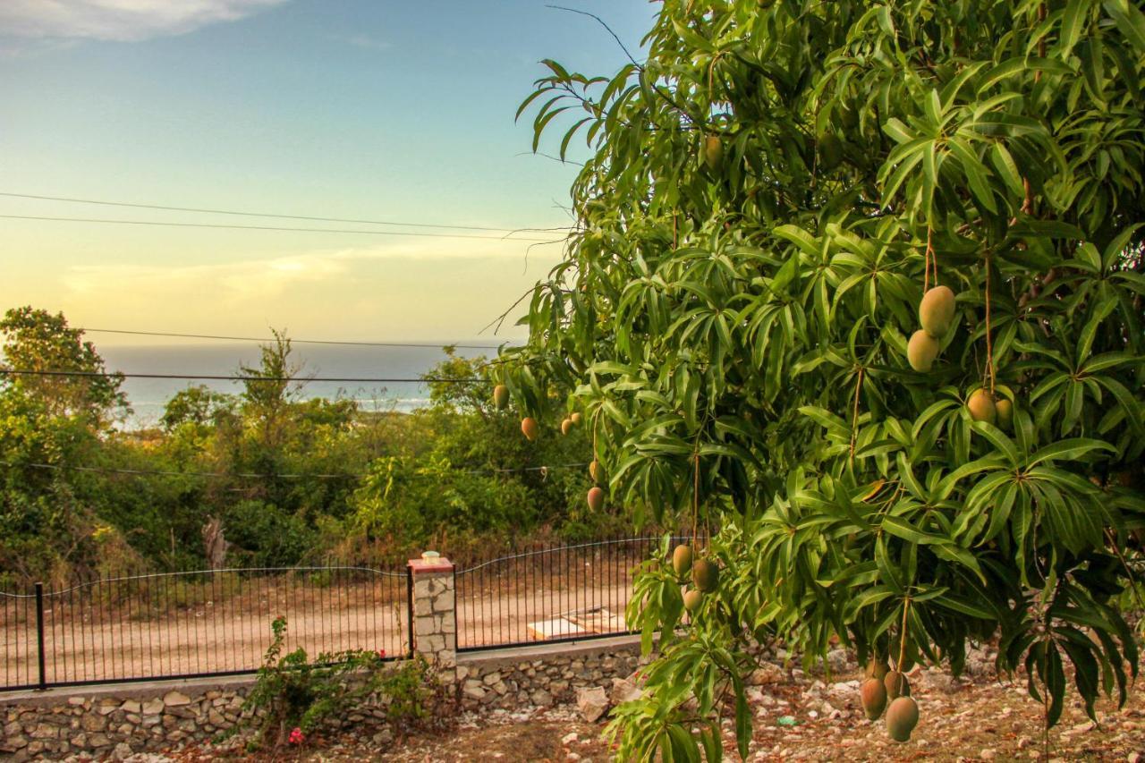 Sunshine Lodge: Your Home Away From Home Montego Bay Dış mekan fotoğraf