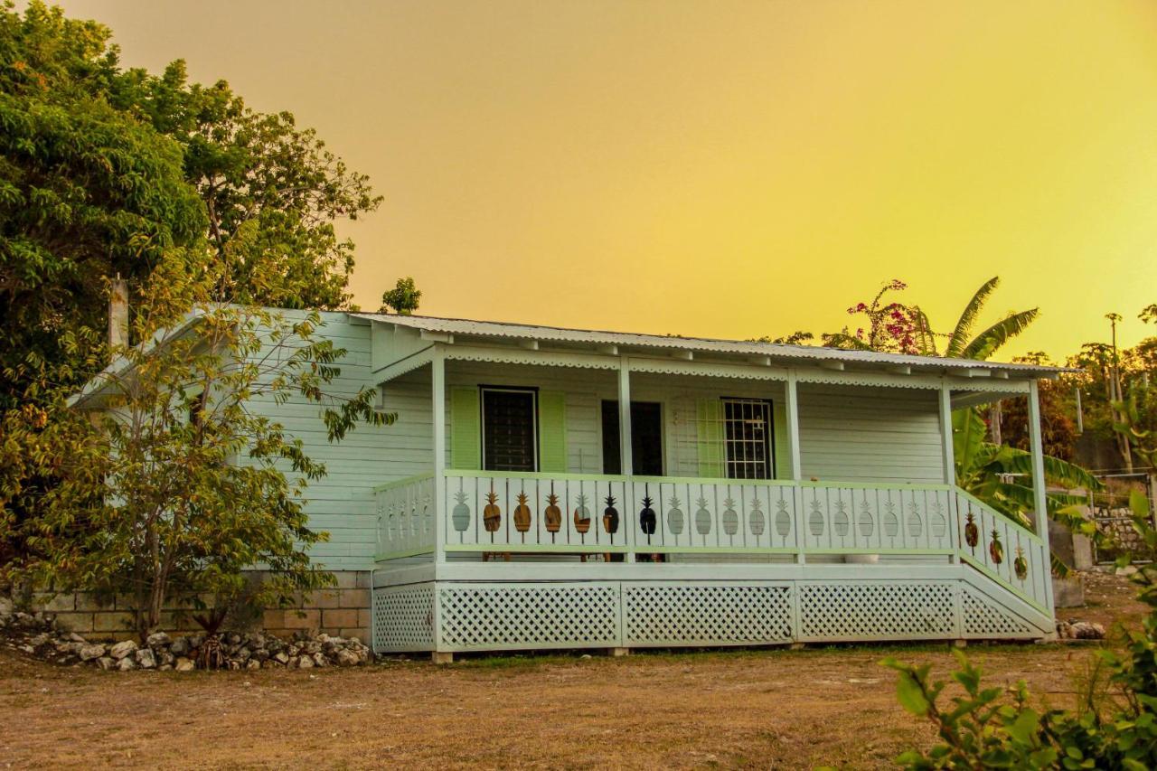 Sunshine Lodge: Your Home Away From Home Montego Bay Dış mekan fotoğraf