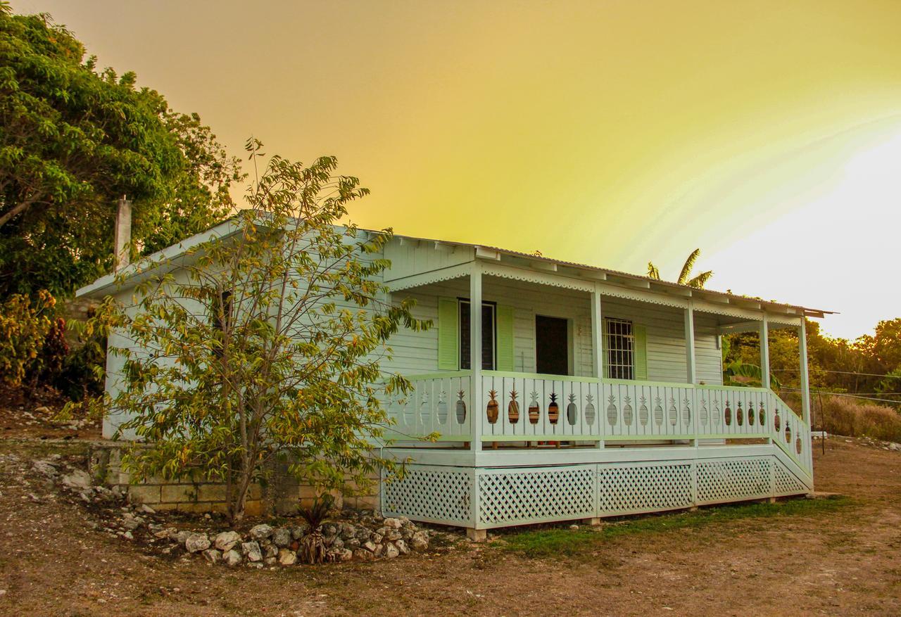 Sunshine Lodge: Your Home Away From Home Montego Bay Dış mekan fotoğraf