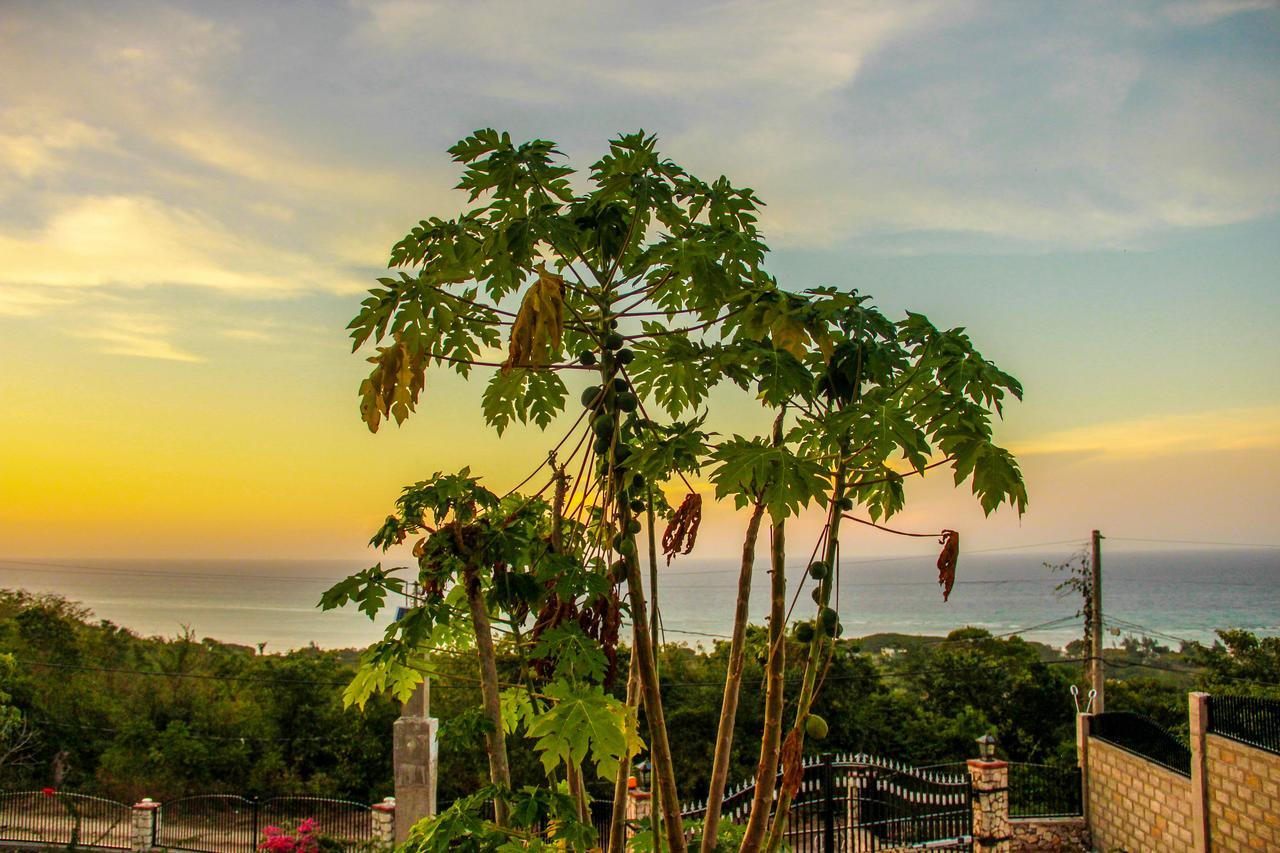 Sunshine Lodge: Your Home Away From Home Montego Bay Dış mekan fotoğraf